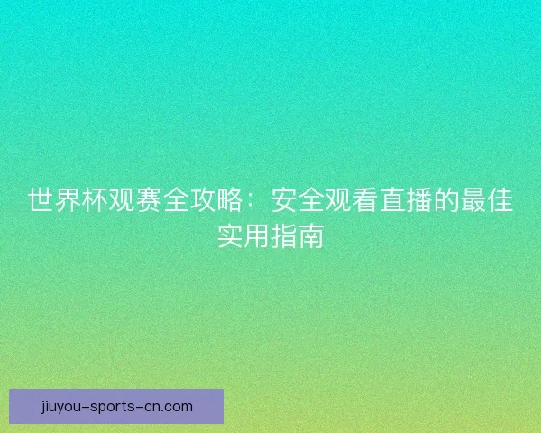 世界杯观赛全攻略：安全观看直播的最佳实用指南